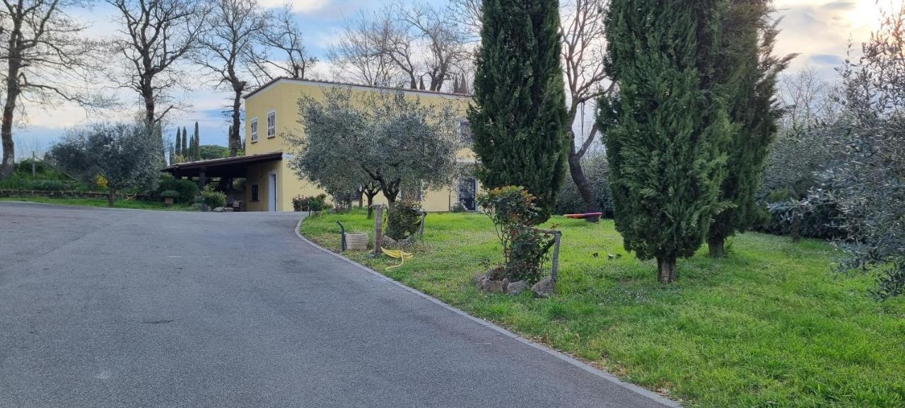 Oltre La Siepe Apartment Nepi Экстерьер фото